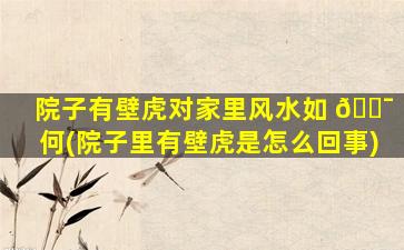 院子有壁虎对家里风水如 🐯 何(院子里有壁虎是怎么回事)